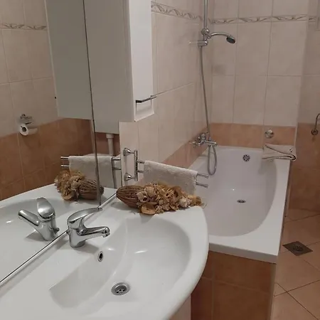 Apartman Paula Omis